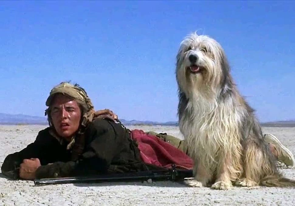 ABoyandHisDog-2.jpg
