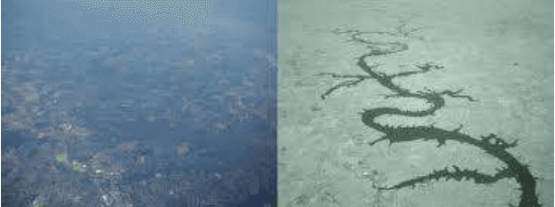 Hickory-Lake.png