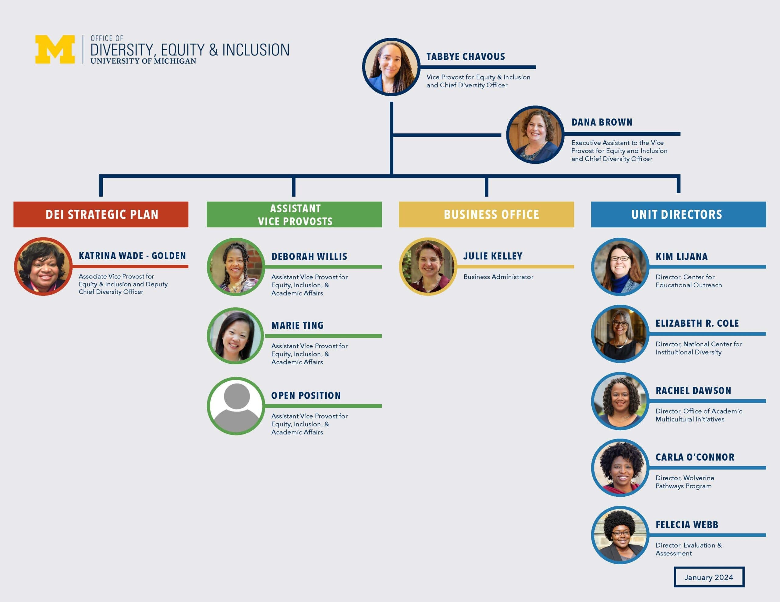 UMich-ODEI-Full-Chart-01-2024.pdf_Page_01-scaled.jpg