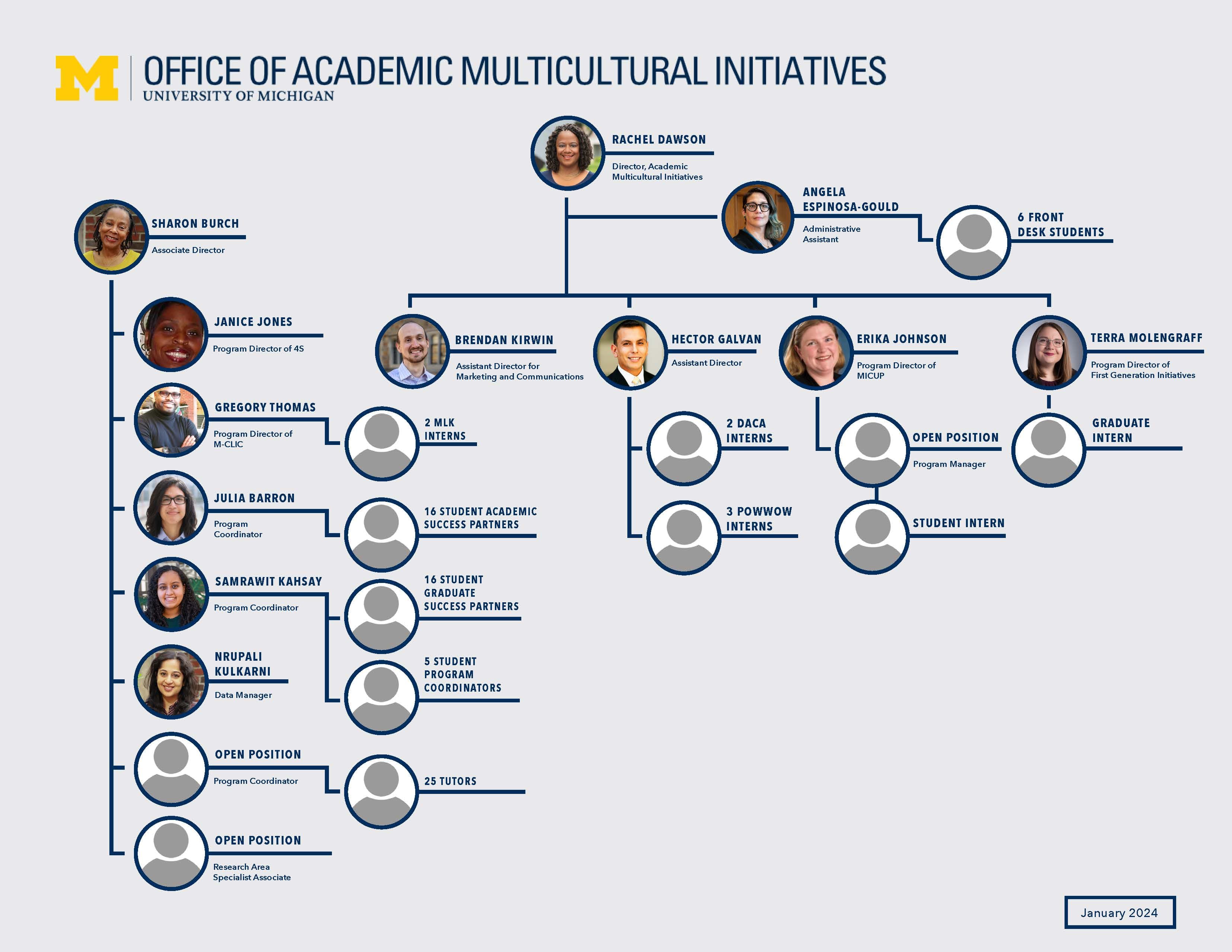 UMich-ODEI-Full-Chart-01-2024.pdf_Page_06.jpg