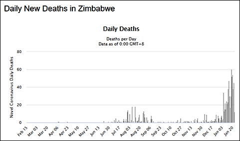Zimbabwe-deaths-1-24-21.png