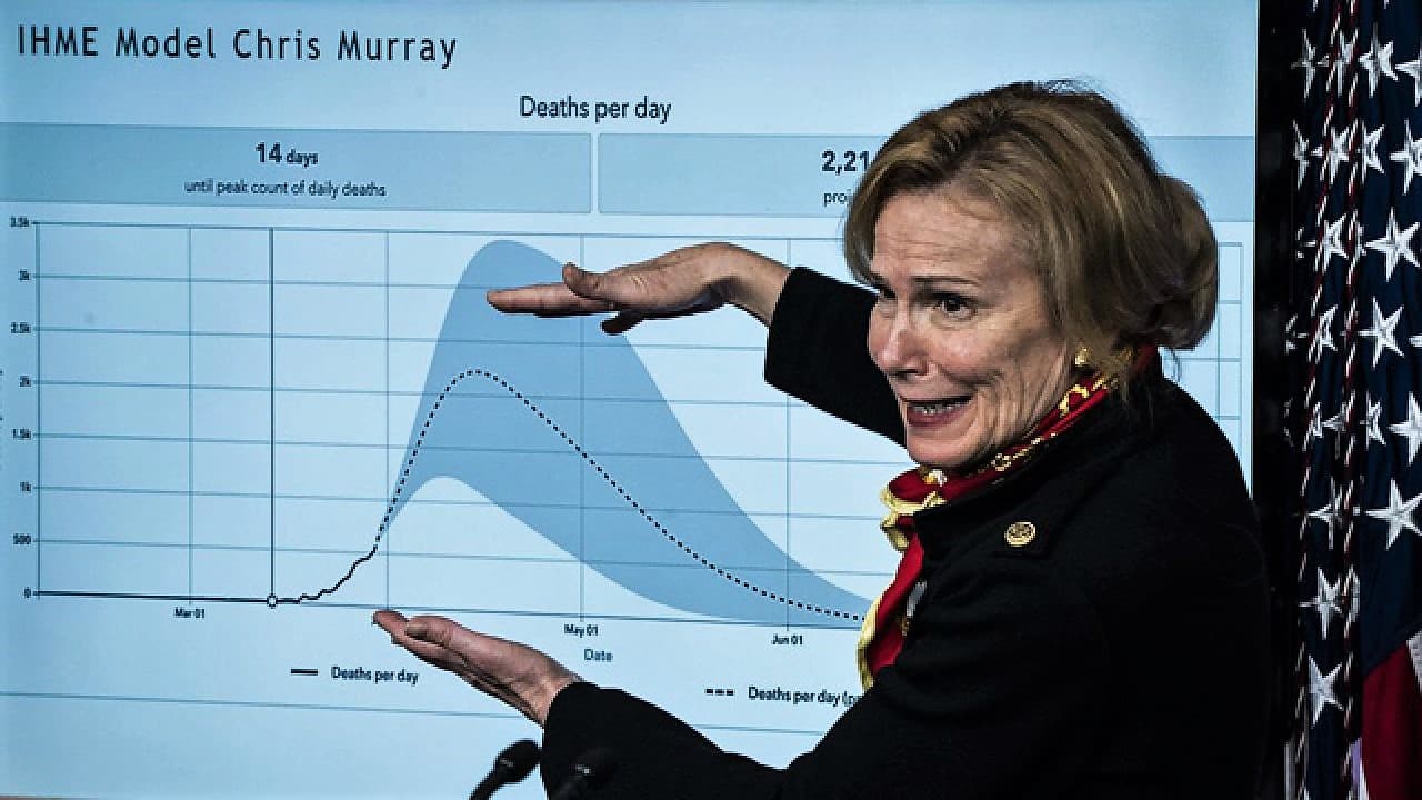 birx-flatten.jpg