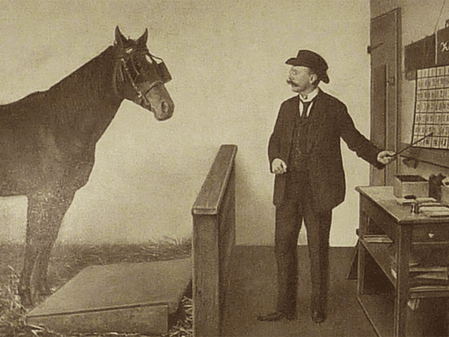 Clever Hans