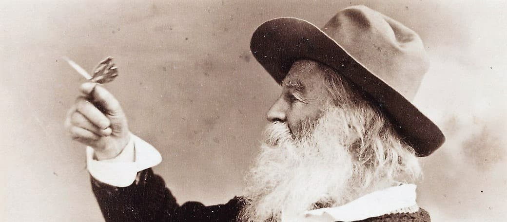 whitman-9.jpg