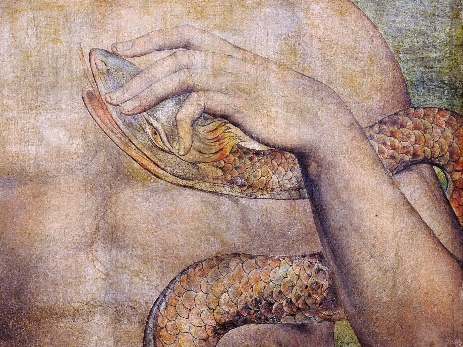 blake-snake
