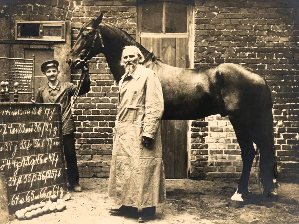 Clever-Hans-Wilhelm-von-Osten-horse-1904-4-3.jpg