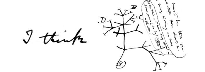 epsilon-theory-adaptive-investing-whats-your-market-dna-think.jpg