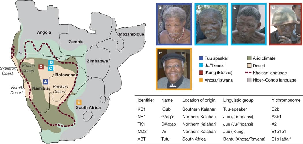 epsilon-theory-dont-fear-the-reaper-february-23-2014-africa.jpg