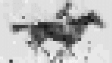 epsilon-theory-mailbag-midsummer-2017-edition-july-27-2017-dna-bacteria.png
