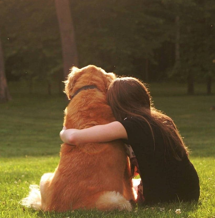 epsilon-theory-notes-from-the-field-good-job-march-1-2018-dog-girl.jpg
