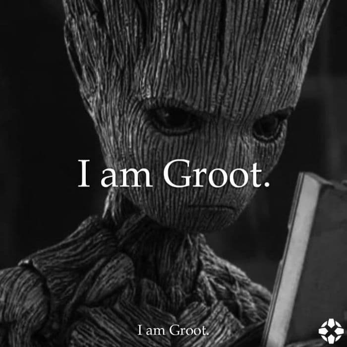 nike_groot.jpg